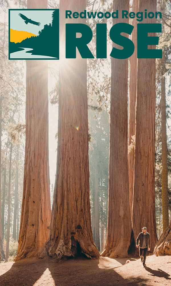 Welcome aboard the Redwood Region RISE's CERF initiative