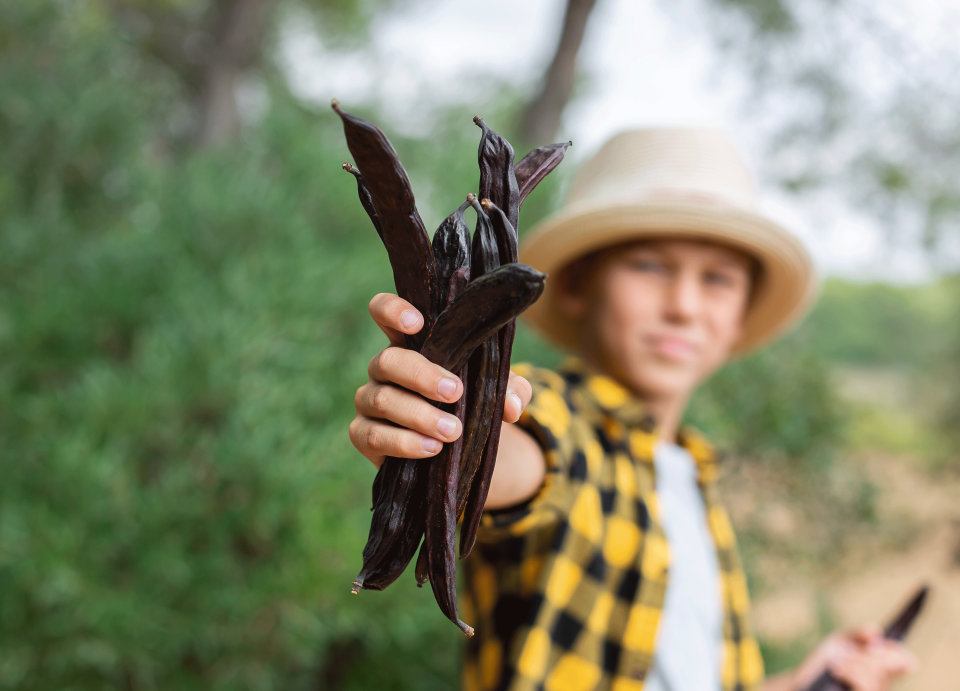 Redwood Region RISE - Catalyst Awardee - Native Foods Network Joint Project