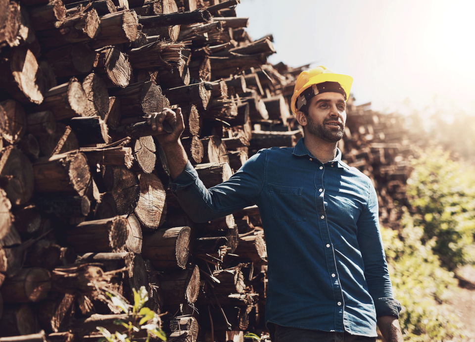 Redwood Region RISE - Catalyst Awardee - Timber & Workforce Development Join Project
