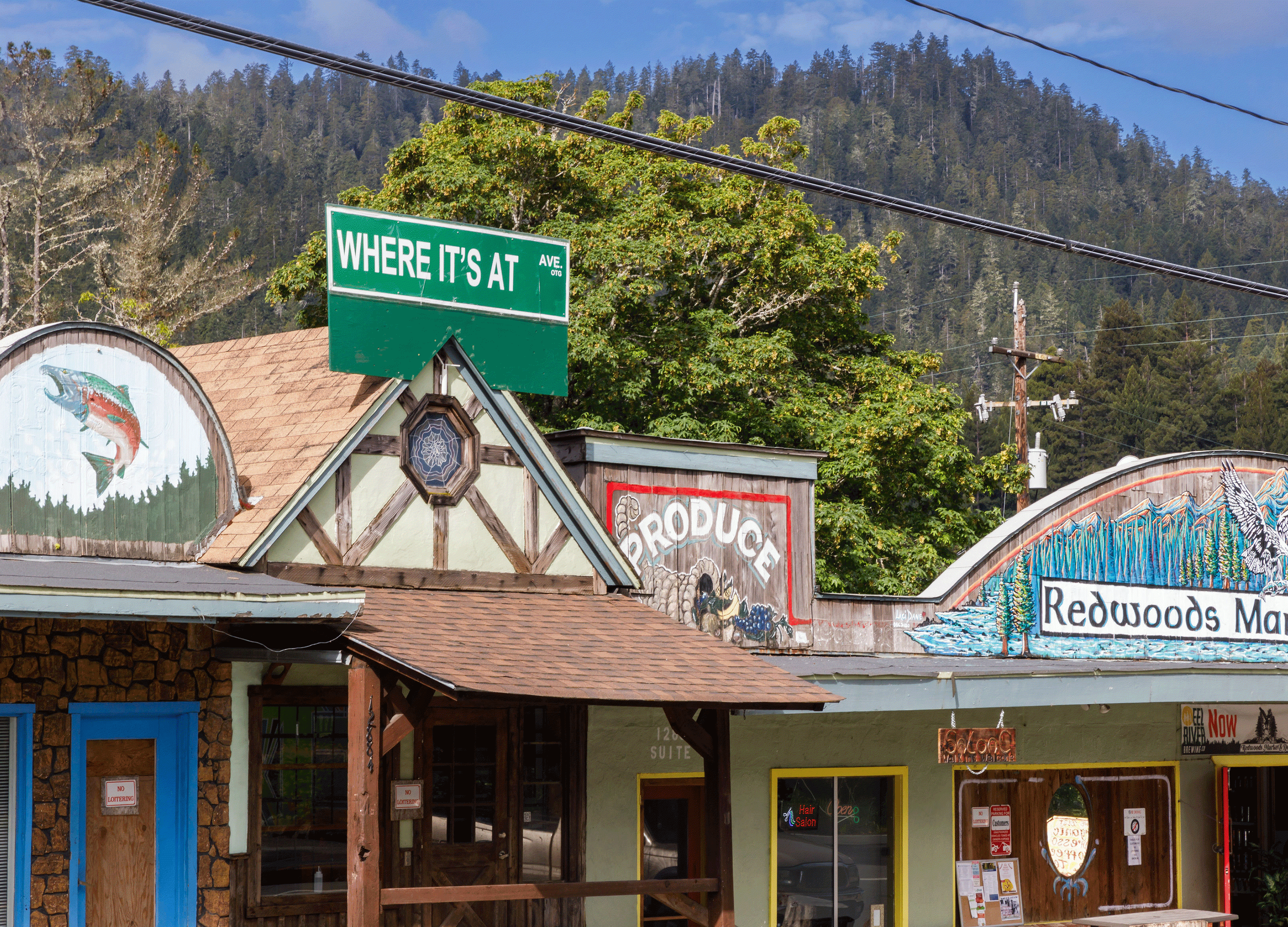 Redwood Region RISE - Catalyst Projects - Culture and Placemaking