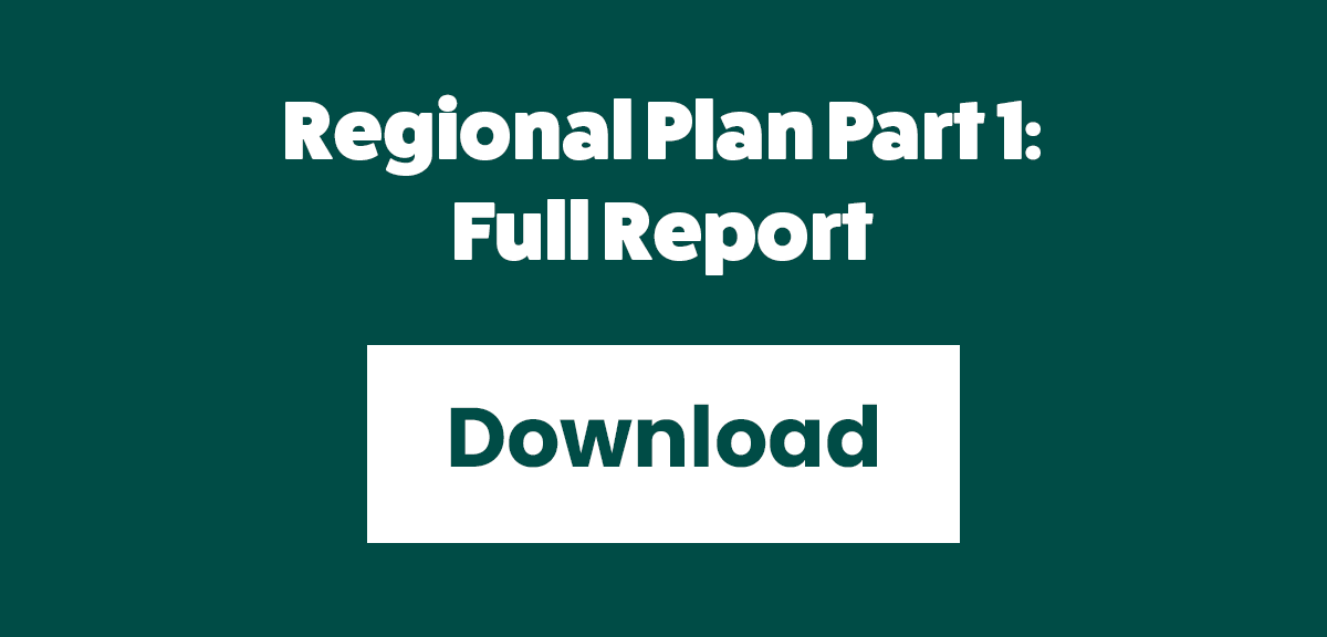 Redwood Region RISE - Regional Summary Part 1 - Full Report