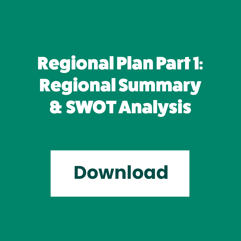 Redwood Region RISE - Regional Summary Part 1 - Summary and SWOT