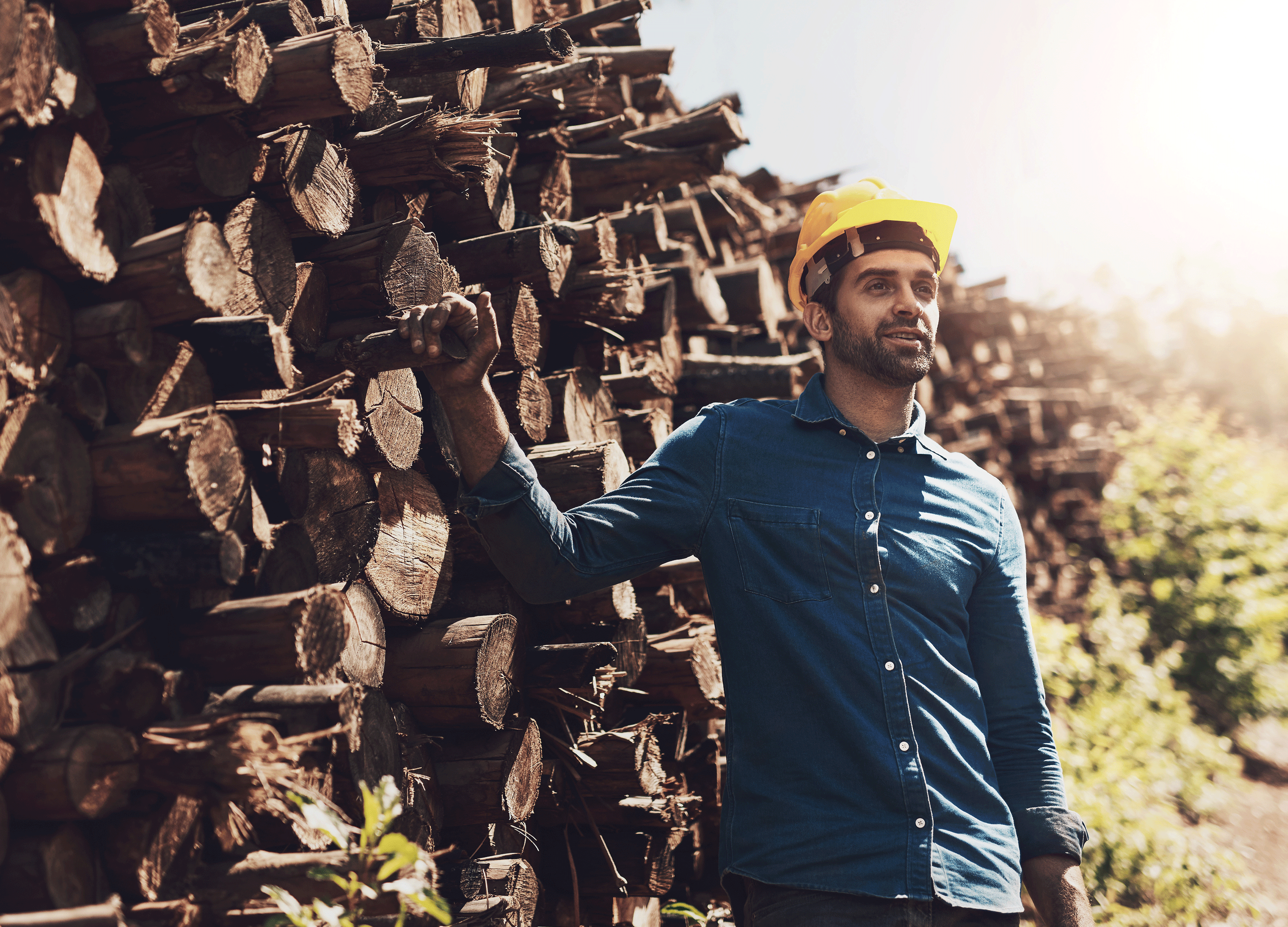 Redwood Region RISE - Catalyst Awardee - Timber & Workforce Development Join Project