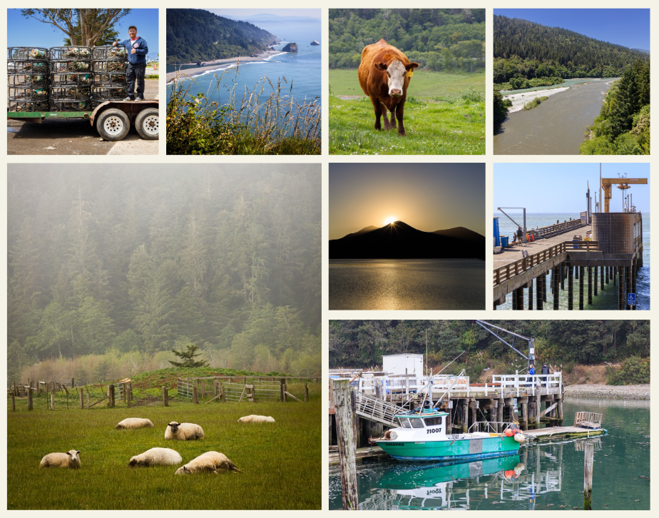 Redwood Region RISE - Working Lands and Blue Economy - Collage